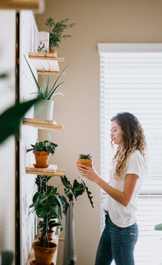 Adobestock 246497300 Adobestock 246497300